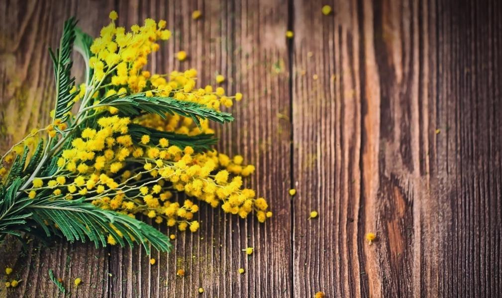 Giornata Internazionale della Donna 2026: Oltre un mese di iniziative per celebrare le donne e promuovere una società più equa nell’Unione della Romagna Faentina Giornata Internazionale della Donna 2026: Oltre un mese di iniziative per celebrare le donne e promuovere una società più equa nell’Unione della Romagna Faentina